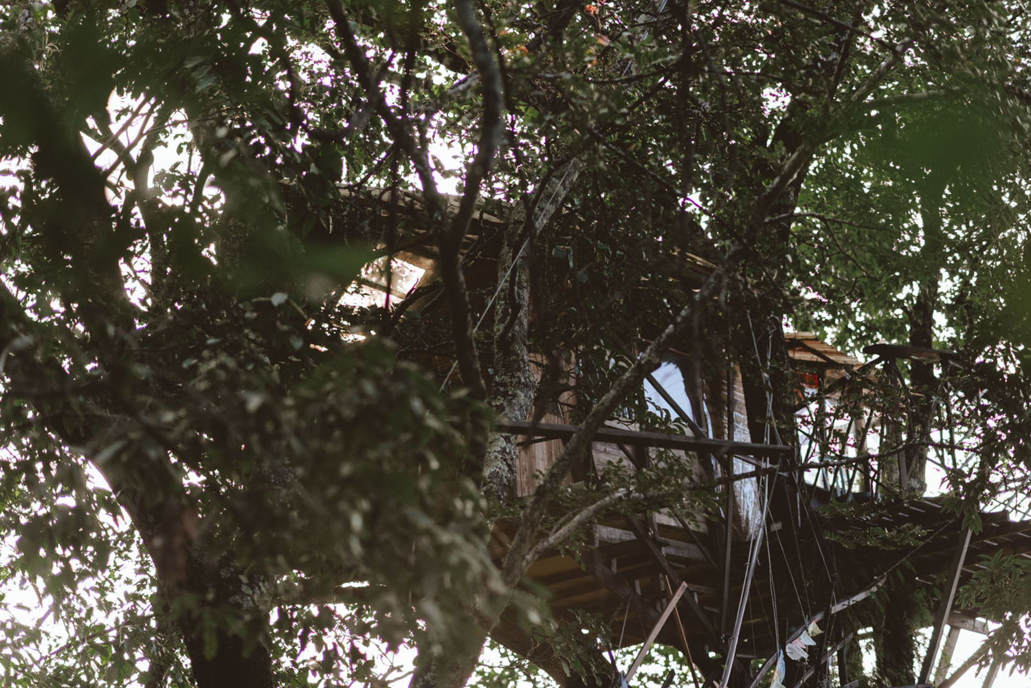 Foto Três Casas de Madeira no Airbnb para se hospedar e viver uma experiência incrível! Foto Três Casas de Madeira no Airbnb para se hospedar e viver uma experiência incrível! - Imagem 29