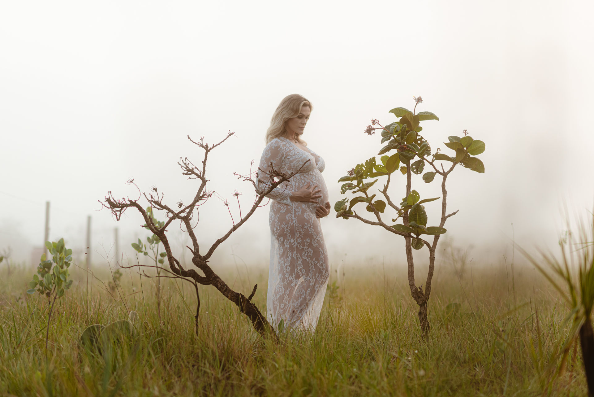 Foto Woodstock Guest House - Ensaio Fotográfico na Chapada dos Veadeiros - Fotos de grávida no Cerrado de Goiás - Imagem 4
