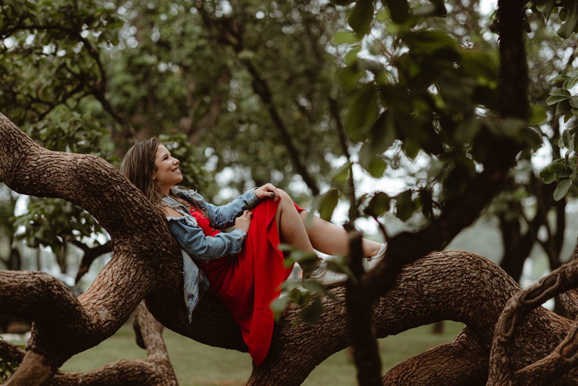 Foto Ensaio Fotográfico de 15 Anos no Parque da Cidade em Brasília DF - Maria Clara  - Imagem 12