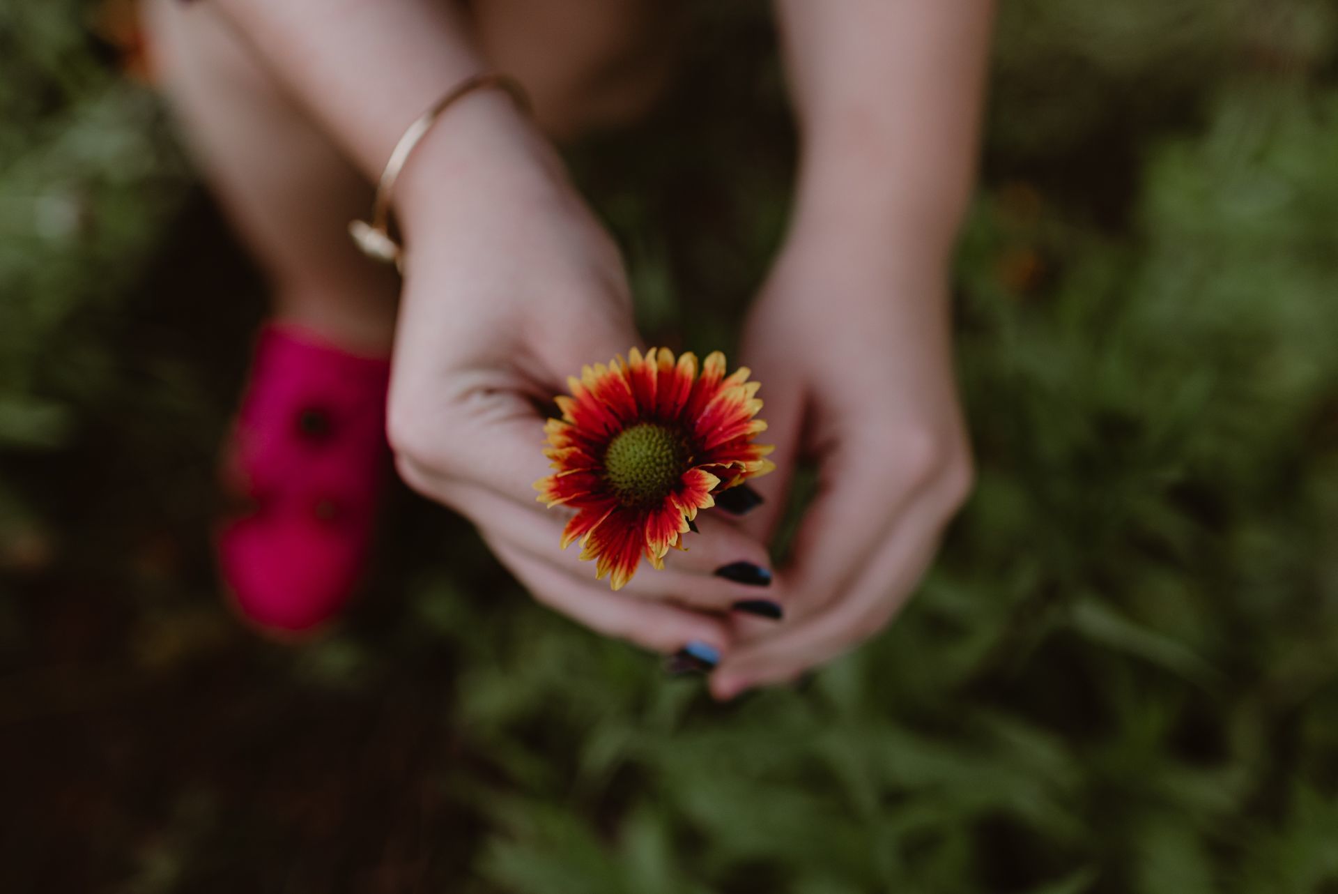 Foto Ensaio Fotográfico de 15 Anos no Parque da Cidade em Brasília DF - Maria Clara  - Imagem 31