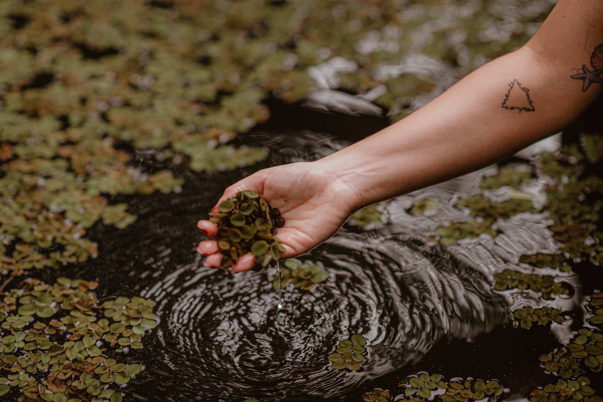 Foto Ensaio Fotográfico Feminino nas Cabanas Encantadas do Brejo - Goiânia - Camila - Imagem 23