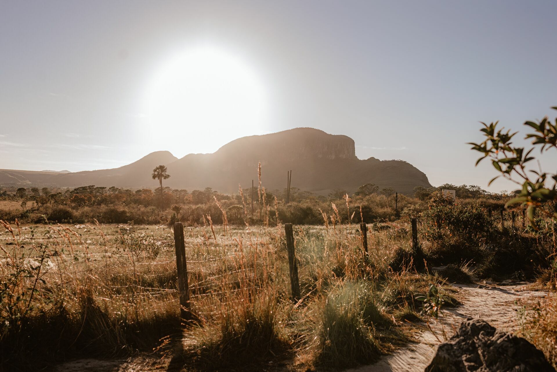 Foto Fotógrafo na Chapada dos Veadeiros - Revoar Fotografia - Gê e Tom  - Imagem 9