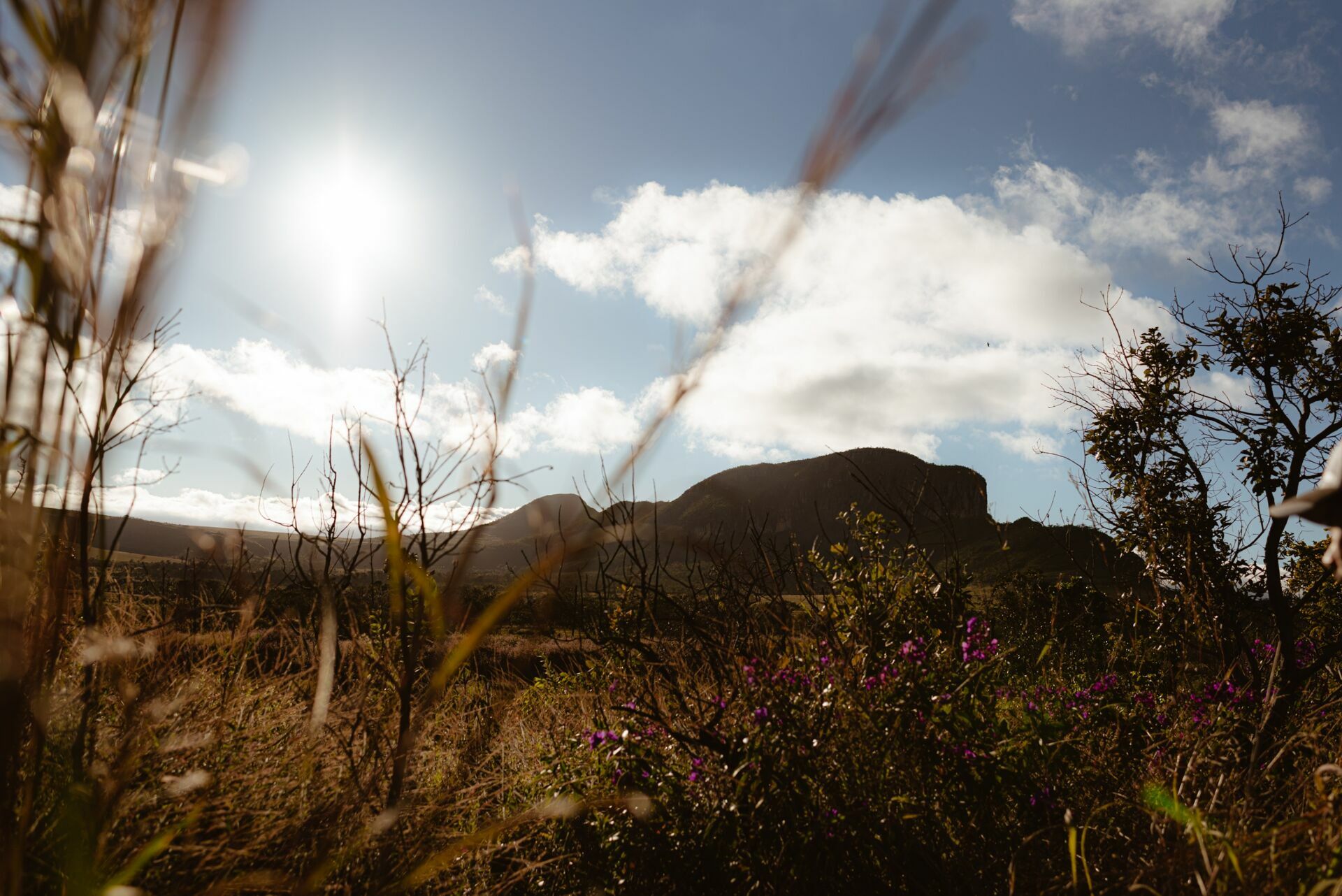 Foto Ensaio Fotográfico de Casal na Chapada dos Veadeiros - Cataratas dos Couros e Vale da Lua - Imagem 17