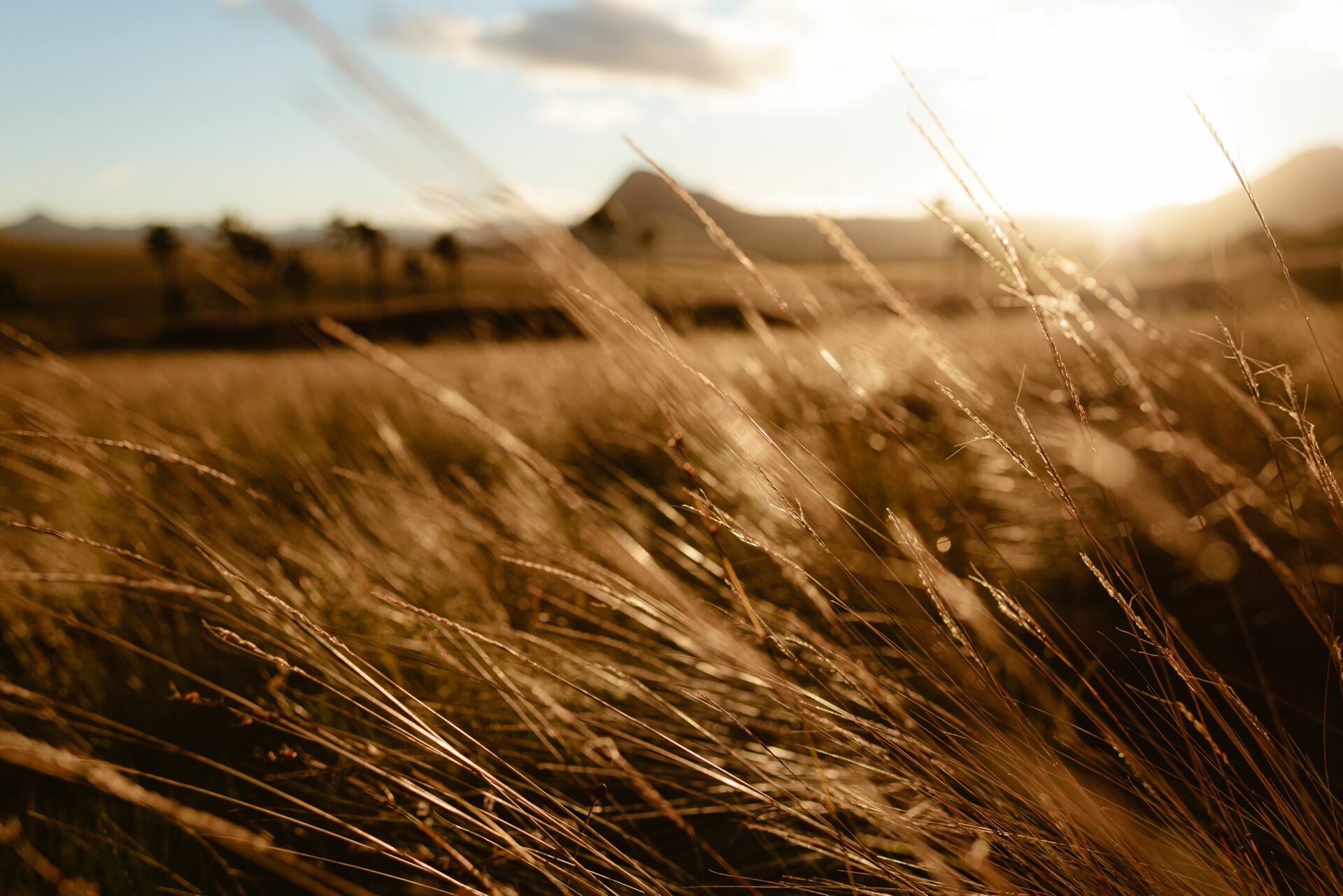 Foto Ensaio Fotográfico de Casal na Chapada dos Veadeiros - Cataratas dos Couros e Vale da Lua - Imagem 15