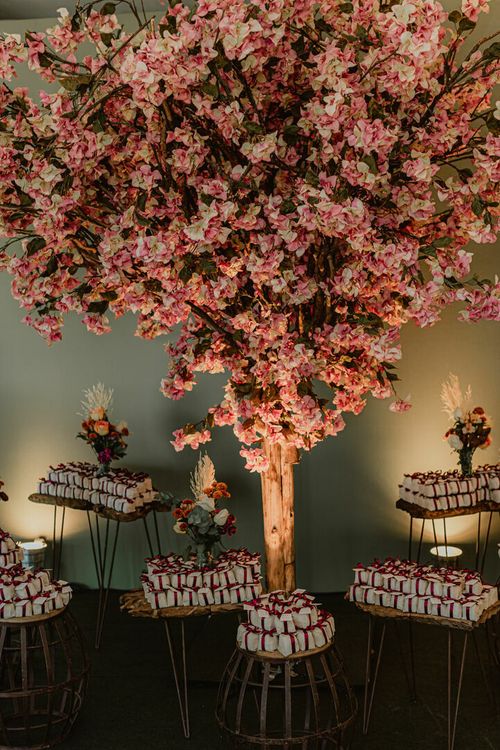 Foto Casamento no Dove Vuoi em Goiânia - Rafaela e Andreyve - Fim de tarde - Imagem 7