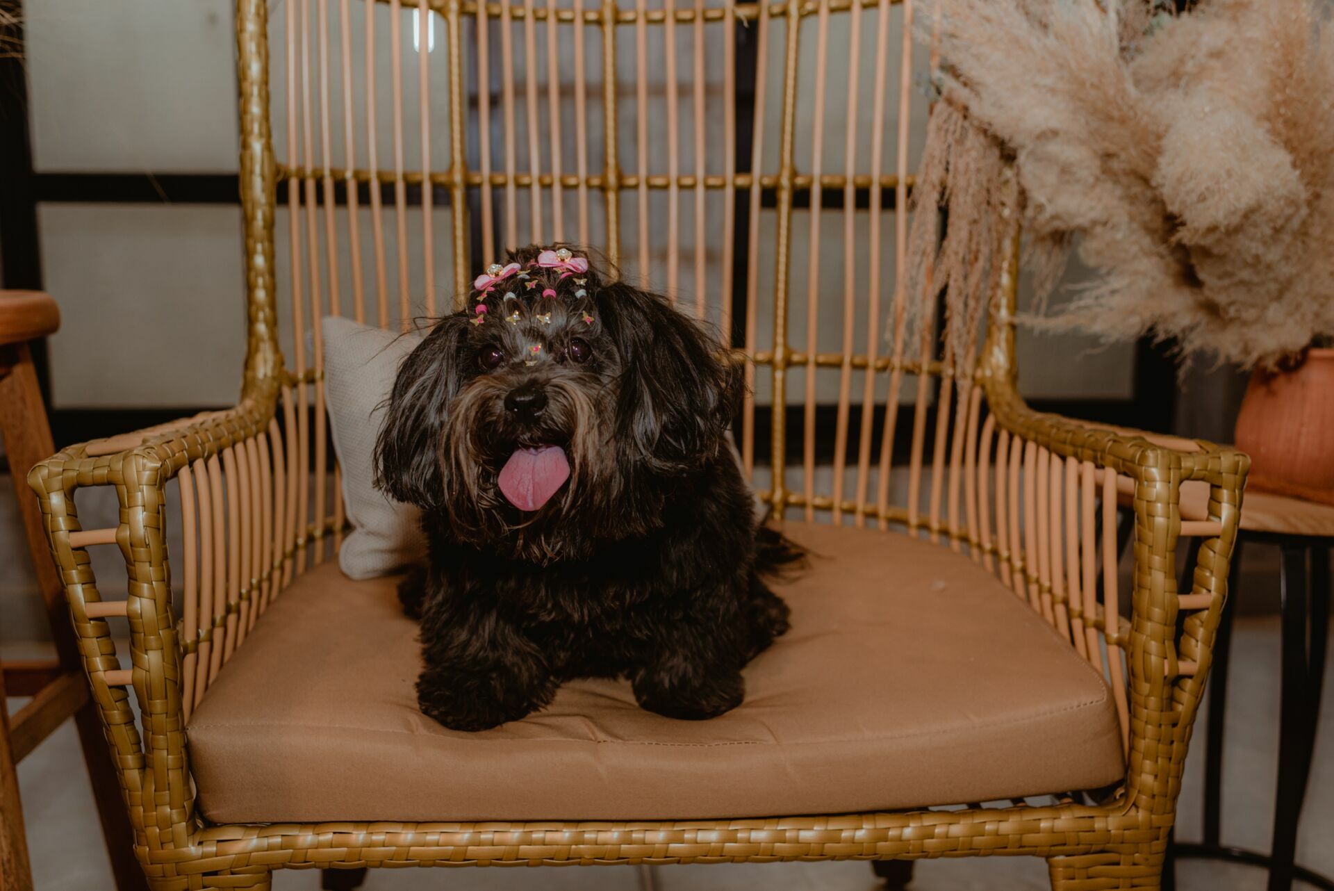 Foto Waleska Ensaio feminino de Aniversário - Studio Revoloft - Imagem 2