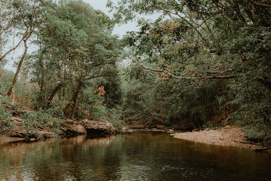 Foto Fotógrafo de Ensaios em Pirenópolis de Goiás - Geici e Matheus - Imagem 18