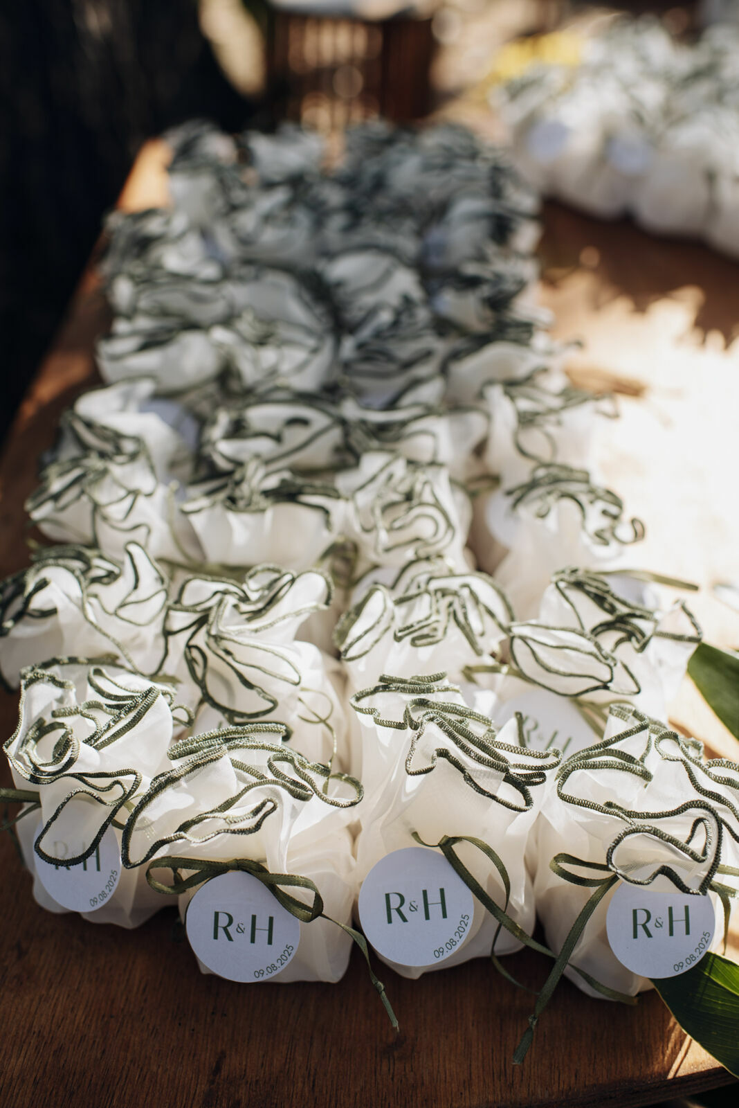Foto Casamento em fim de tarde na Estância dos Nobres em Pirenópolis Go - Rayssa e Hiago - Imagem 17