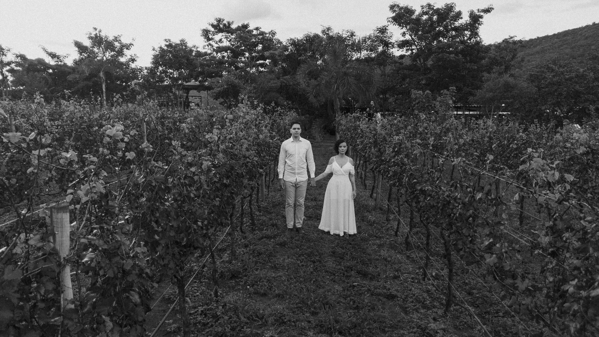 Foto Fotógrafo em Pirenópolis - Ensaio Fotográfico na Vinícola Assunção - Imagem 27