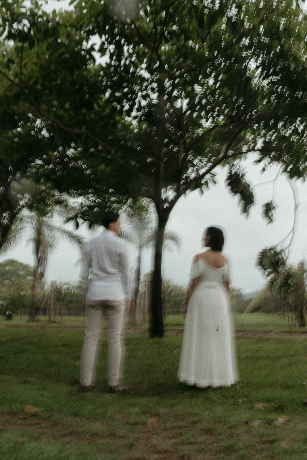 Foto Fotógrafo em Pirenópolis - Ensaio Fotográfico na Vinícola Assunção - Imagem 37