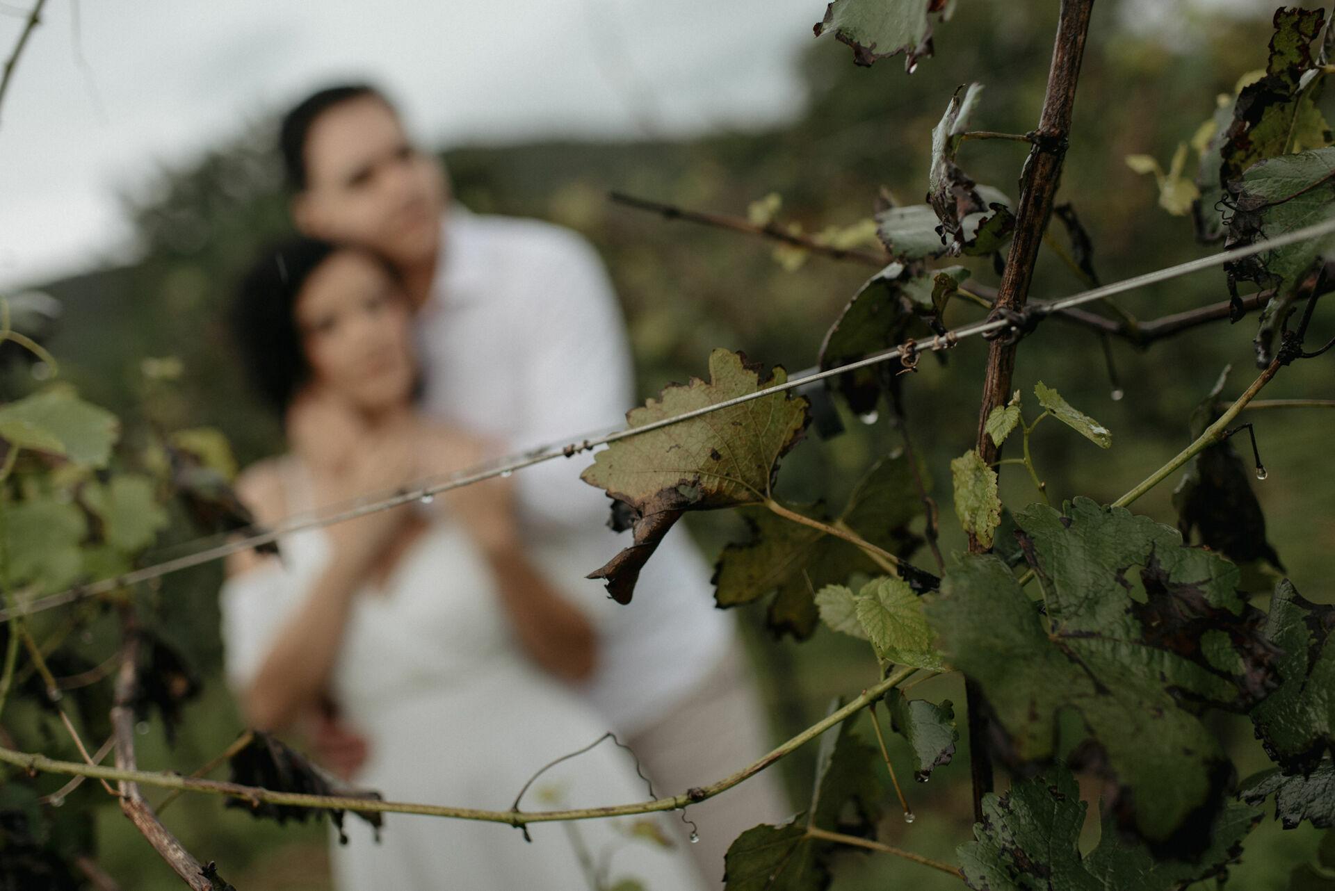 Foto Fotógrafo em Pirenópolis - Ensaio Fotográfico na Vinícola Assunção - Imagem 35