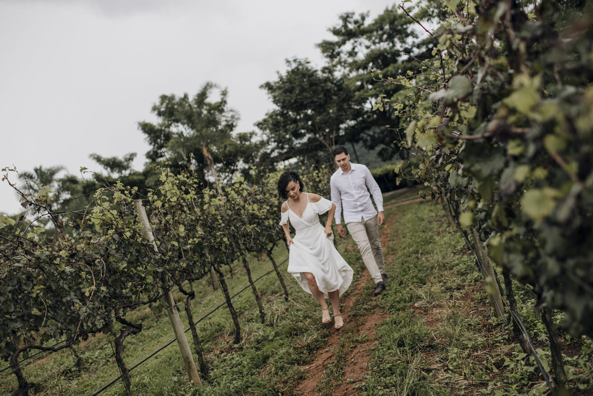 Foto Fotógrafo em Pirenópolis - Ensaio Fotográfico na Vinícola Assunção - Imagem 14