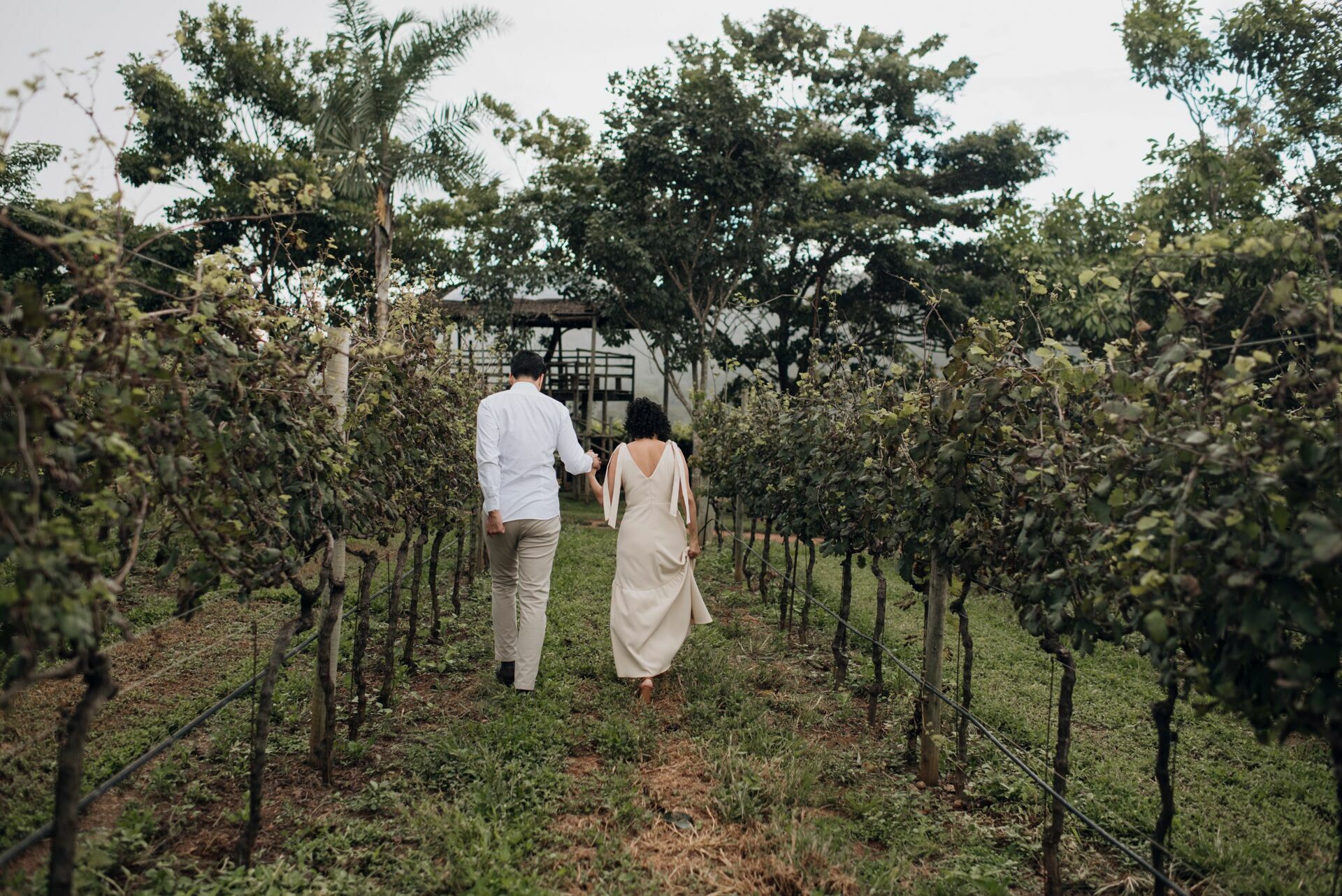 Foto Fotógrafo em Pirenópolis - Ensaio Fotográfico na Vinícola Assunção - Imagem 36