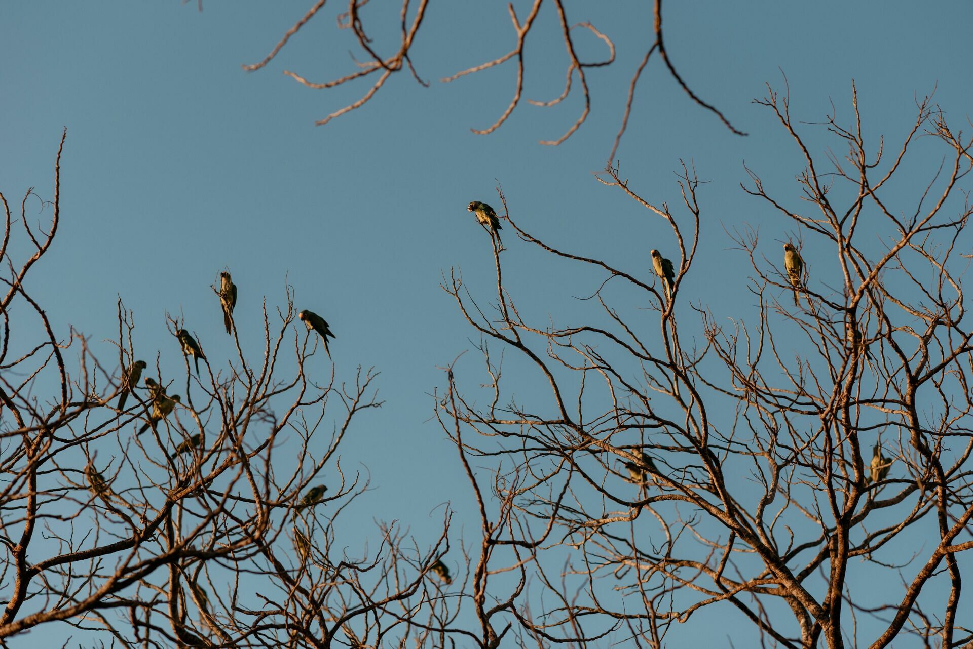 Foto Fotógrafo em Pirenópolis Goiás - Ensaio Fotográfico em um pôr do sol de cair o queixo - Imagem 13